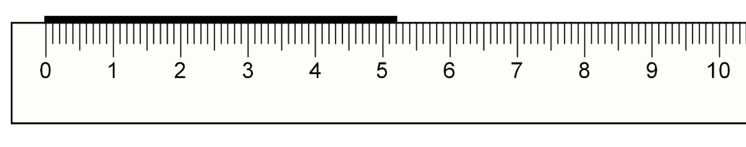 An image in a quiz