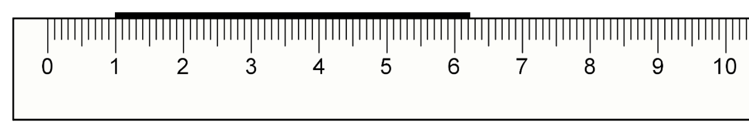An image in a quiz