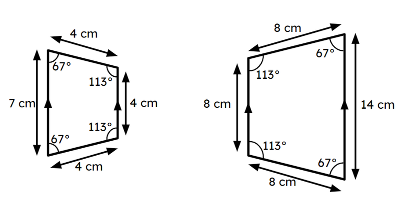 An image in a quiz