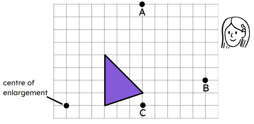 An image in a quiz