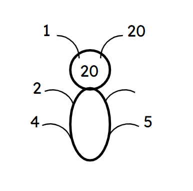 An image in a quiz