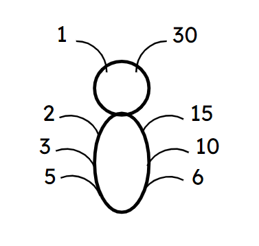 An image in a quiz