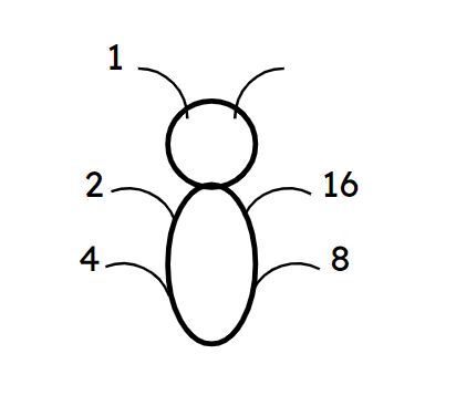 An image in a quiz