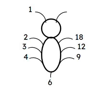 An image in a quiz