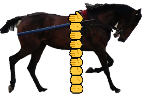 An image in a quiz