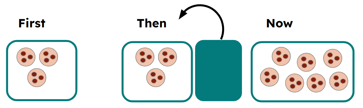 An image in a quiz