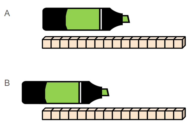 An image in a quiz