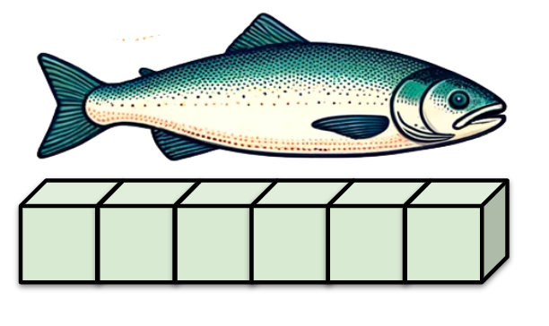 An image in a quiz