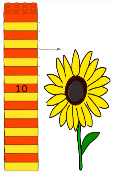 An image in a quiz