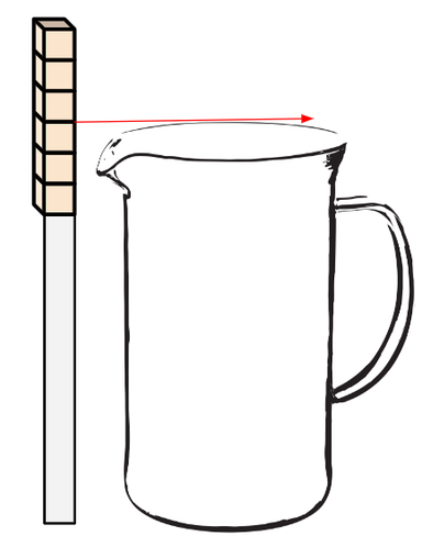 An image in a quiz
