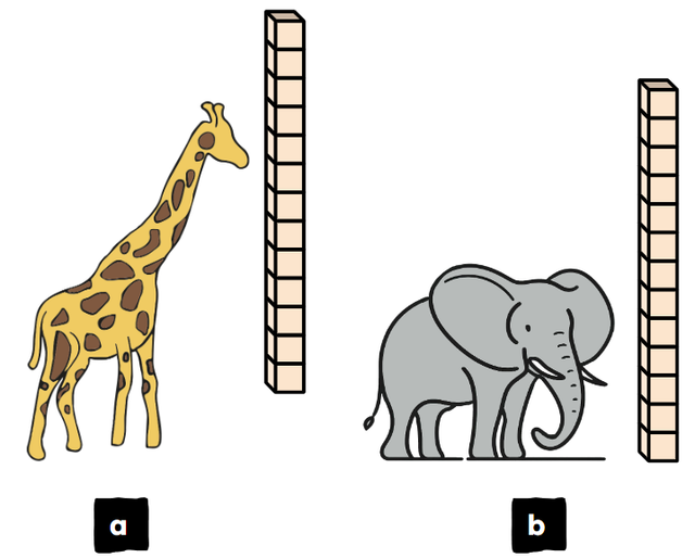 An image in a quiz