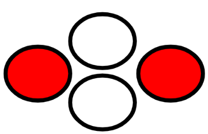 An image in a quiz