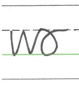 An image in a quiz