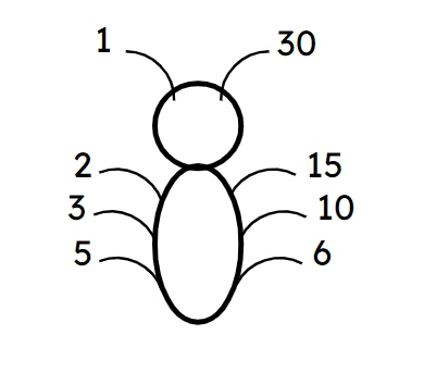 An image in a quiz