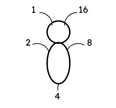 An image in a quiz
