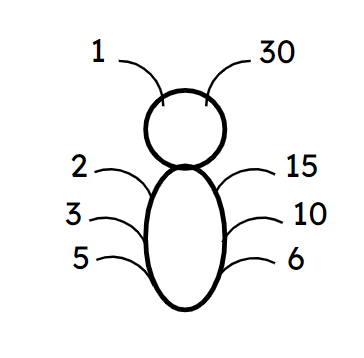 An image in a quiz