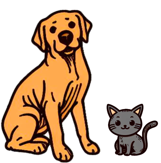 An image in a quiz