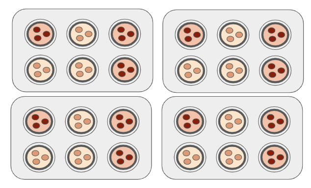 An image in a quiz