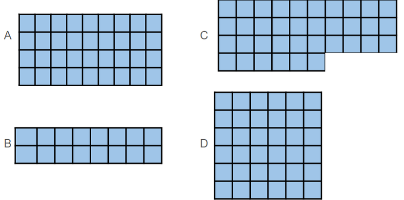 An image in a quiz