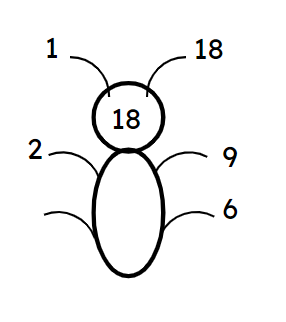 An image in a quiz