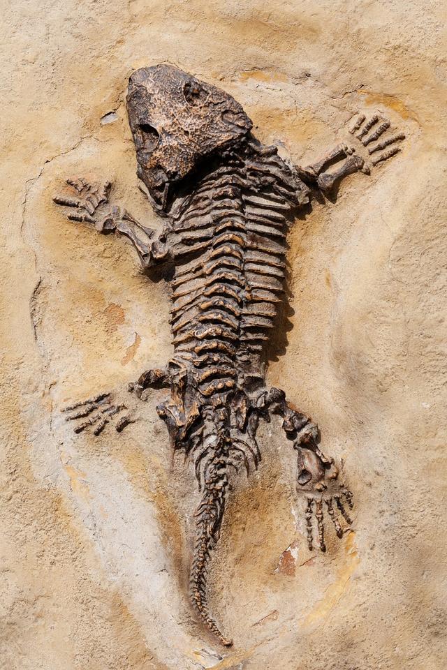 Some fossils are formed when <span class="blank">______</span> and minerals fill the hard parts of living things that have died.