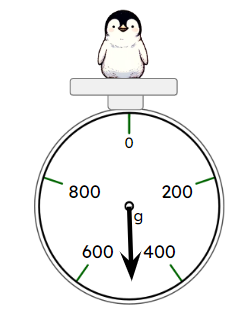 The mass of the adult penguin is six times the mass of the chick. Read the scale and calculate the mass of the adult penguin.
