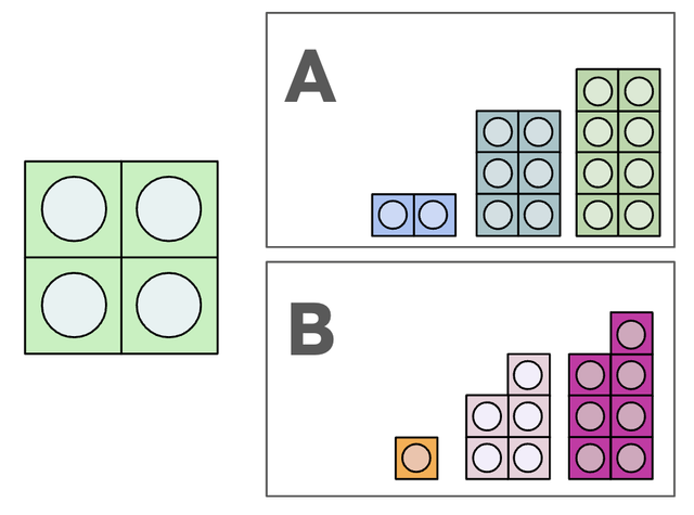 An image in a quiz