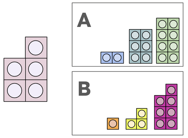 An image in a quiz