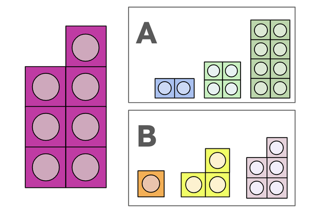 An image in a quiz