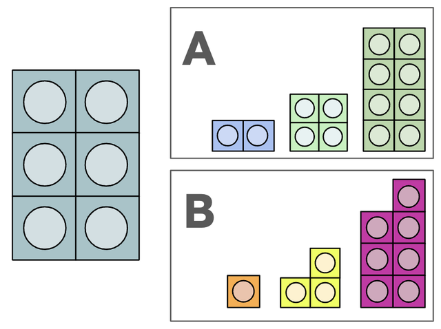 An image in a quiz