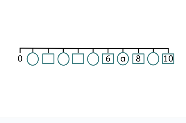 An image in a quiz