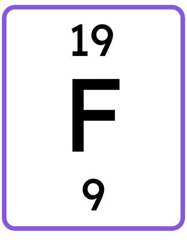 An image in a quiz