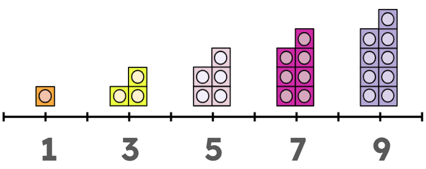 An image in a quiz