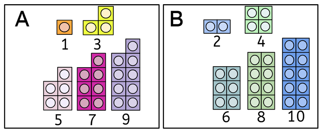 An image in a quiz