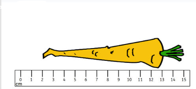 The carrot is 15 cm long.