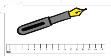 The pen is 13 cm long.