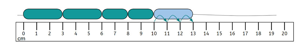 An image in a quiz