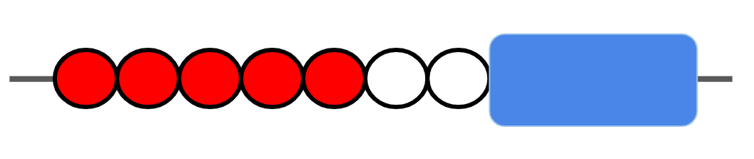 An image in a quiz
