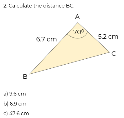An image in a quiz