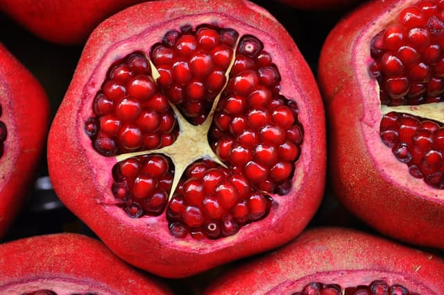An image in a quiz