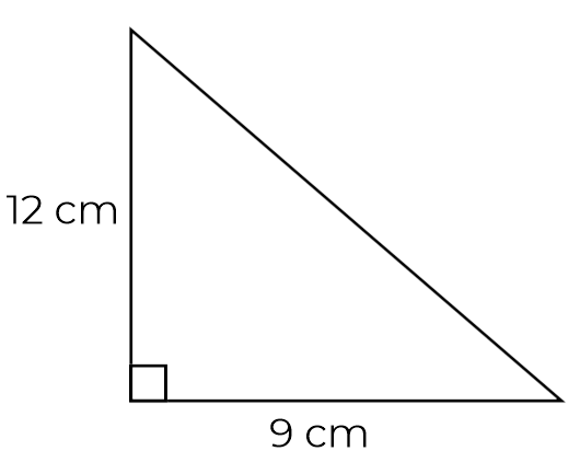 An image in a quiz