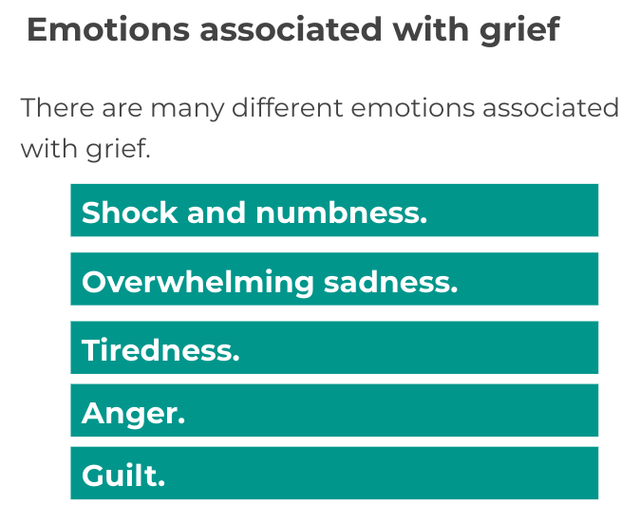 An image in a quiz