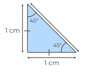 An image in a quiz