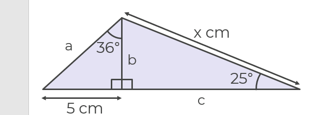 An image in a quiz