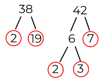 An image in a quiz