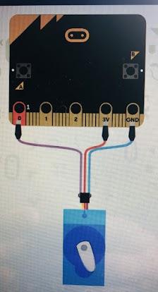 An image in a quiz
