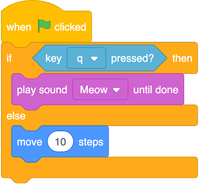 An image in a quiz