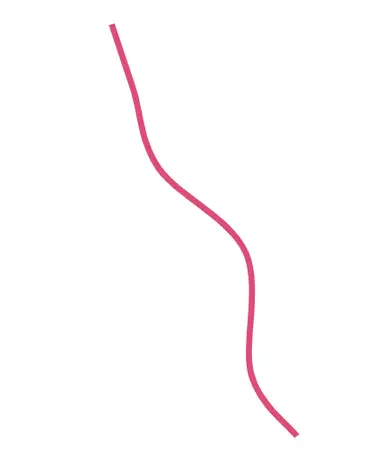 An image in a quiz