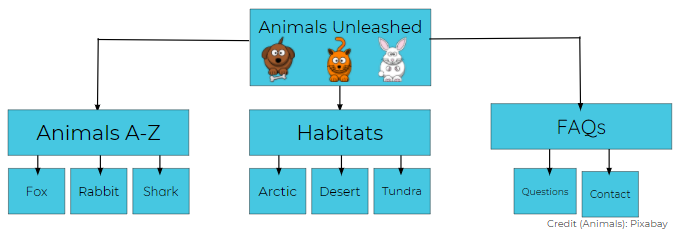 An image in a quiz