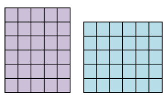 An image in a quiz
